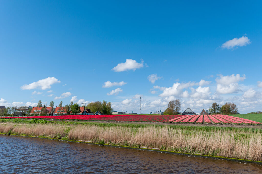 Holland_2013_0724