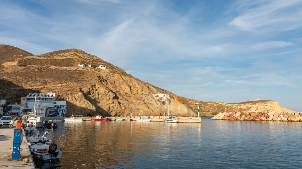 _DSC8987